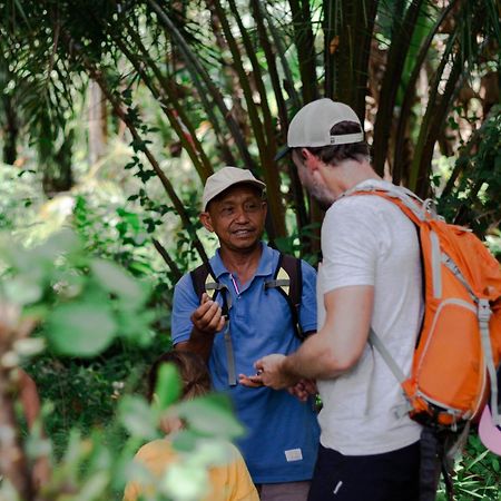 Ambow Homestay Jungle Trekking & Village Tour ブキットラワン エクステリア 写真