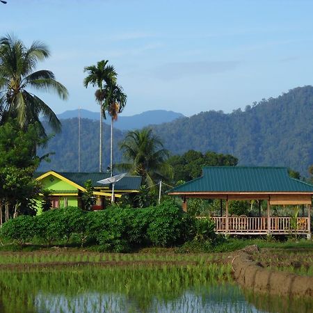 Ambow Homestay Jungle Trekking & Village Tour ブキットラワン エクステリア 写真