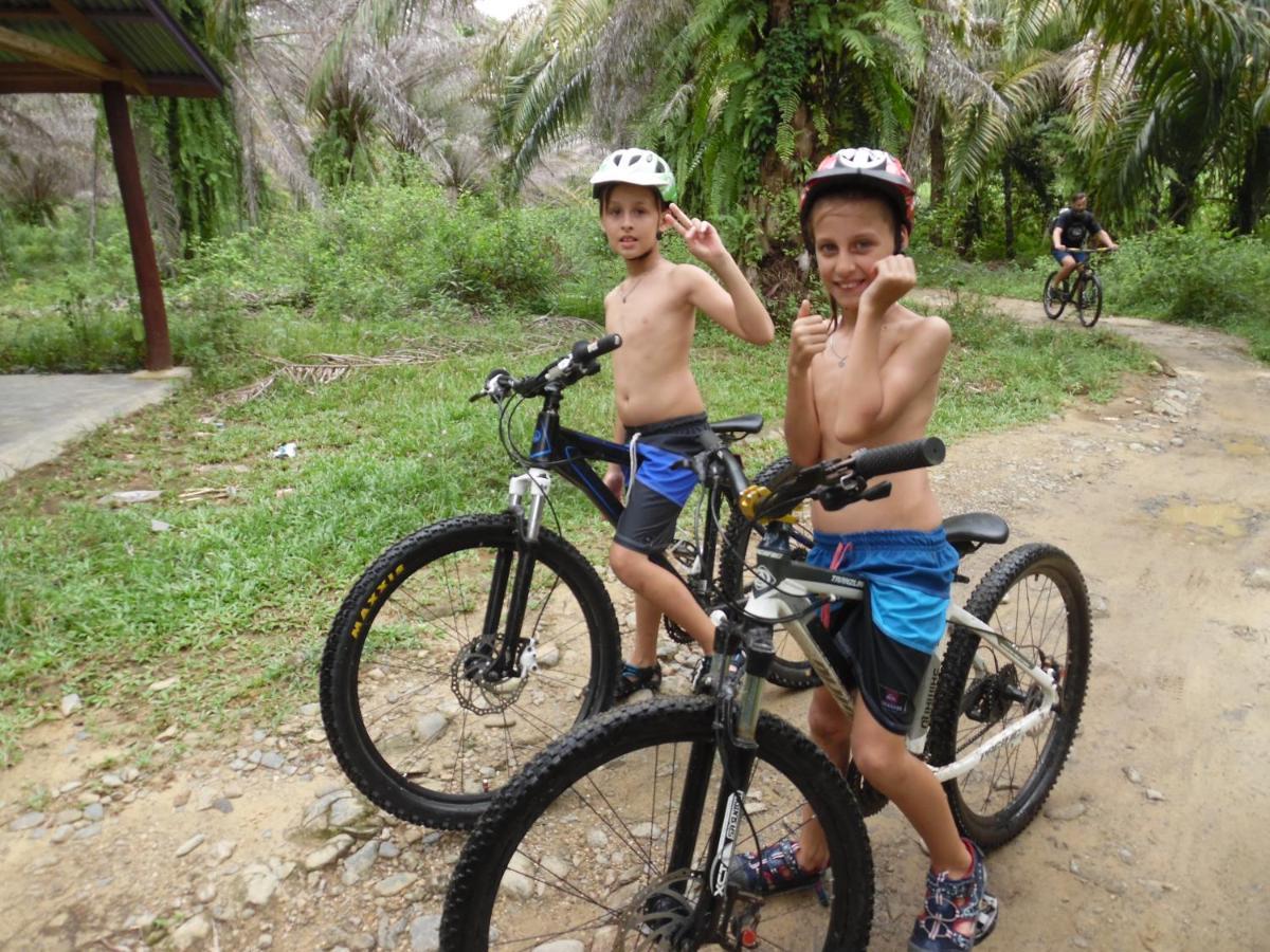 Ambow Homestay Jungle Trekking & Village Tour ブキットラワン エクステリア 写真