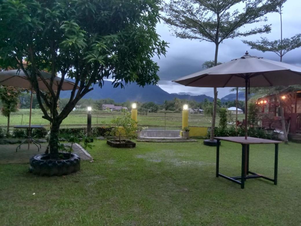 Ambow Homestay Jungle Trekking & Village Tour ブキットラワン エクステリア 写真