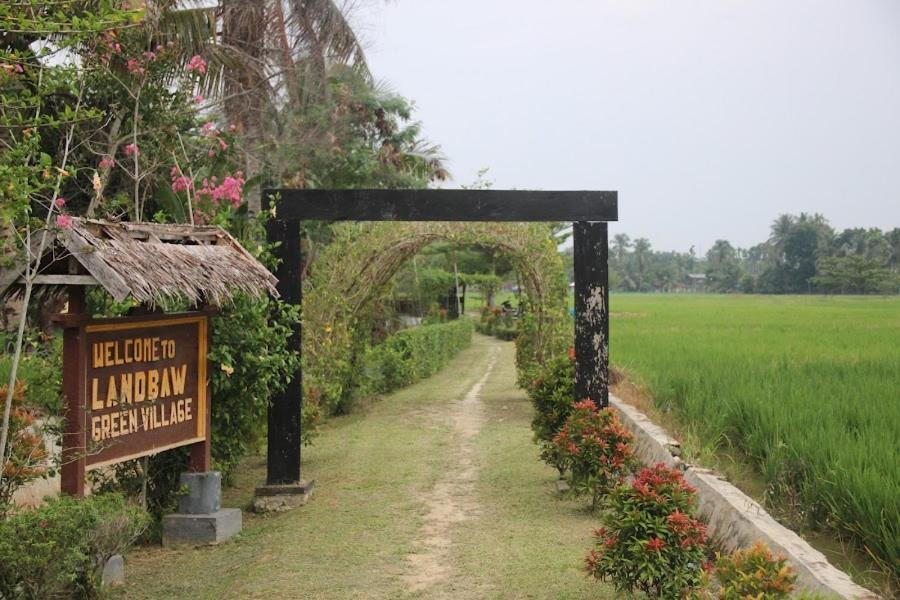 Ambow Homestay Jungle Trekking & Village Tour ブキットラワン エクステリア 写真