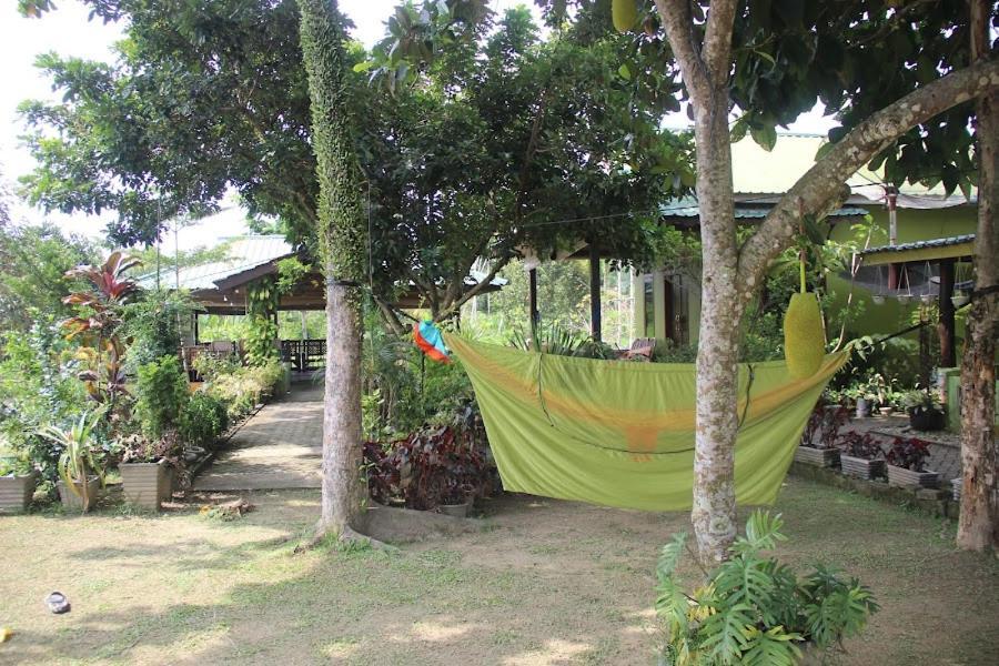 Ambow Homestay Jungle Trekking & Village Tour ブキットラワン エクステリア 写真