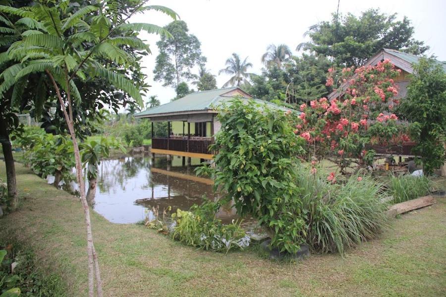 Ambow Homestay Jungle Trekking & Village Tour ブキットラワン エクステリア 写真