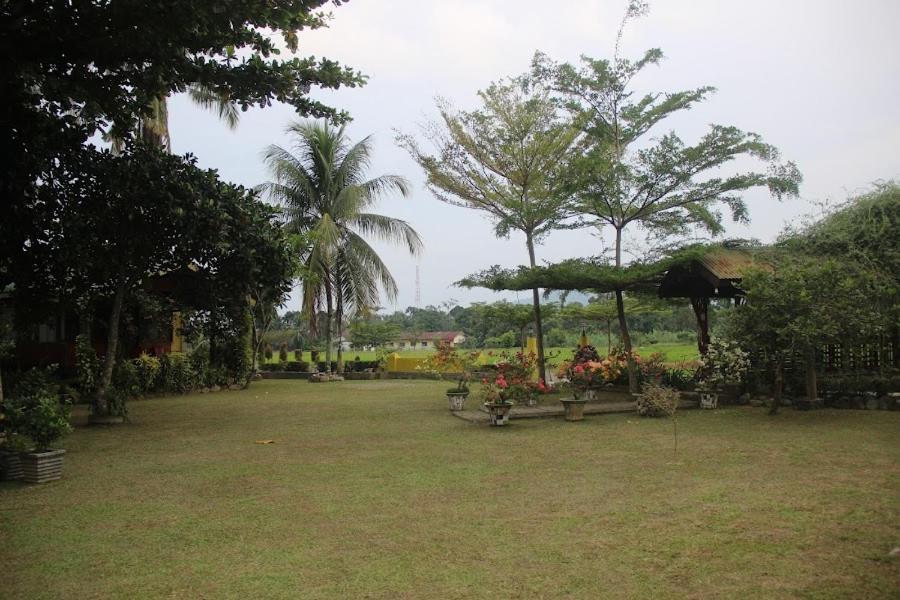 Ambow Homestay Jungle Trekking & Village Tour ブキットラワン エクステリア 写真