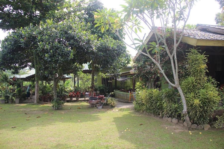 Ambow Homestay Jungle Trekking & Village Tour ブキットラワン エクステリア 写真