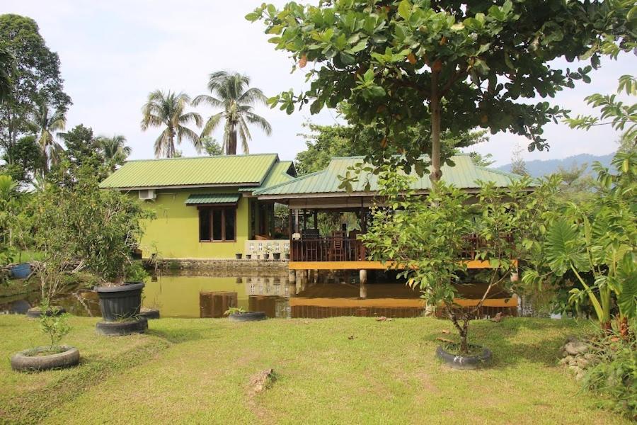 Ambow Homestay Jungle Trekking & Village Tour ブキットラワン エクステリア 写真