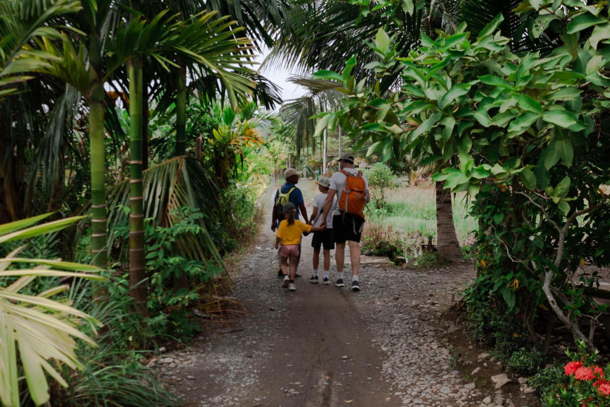 Ambow Homestay Jungle Trekking & Village Tour ブキットラワン エクステリア 写真
