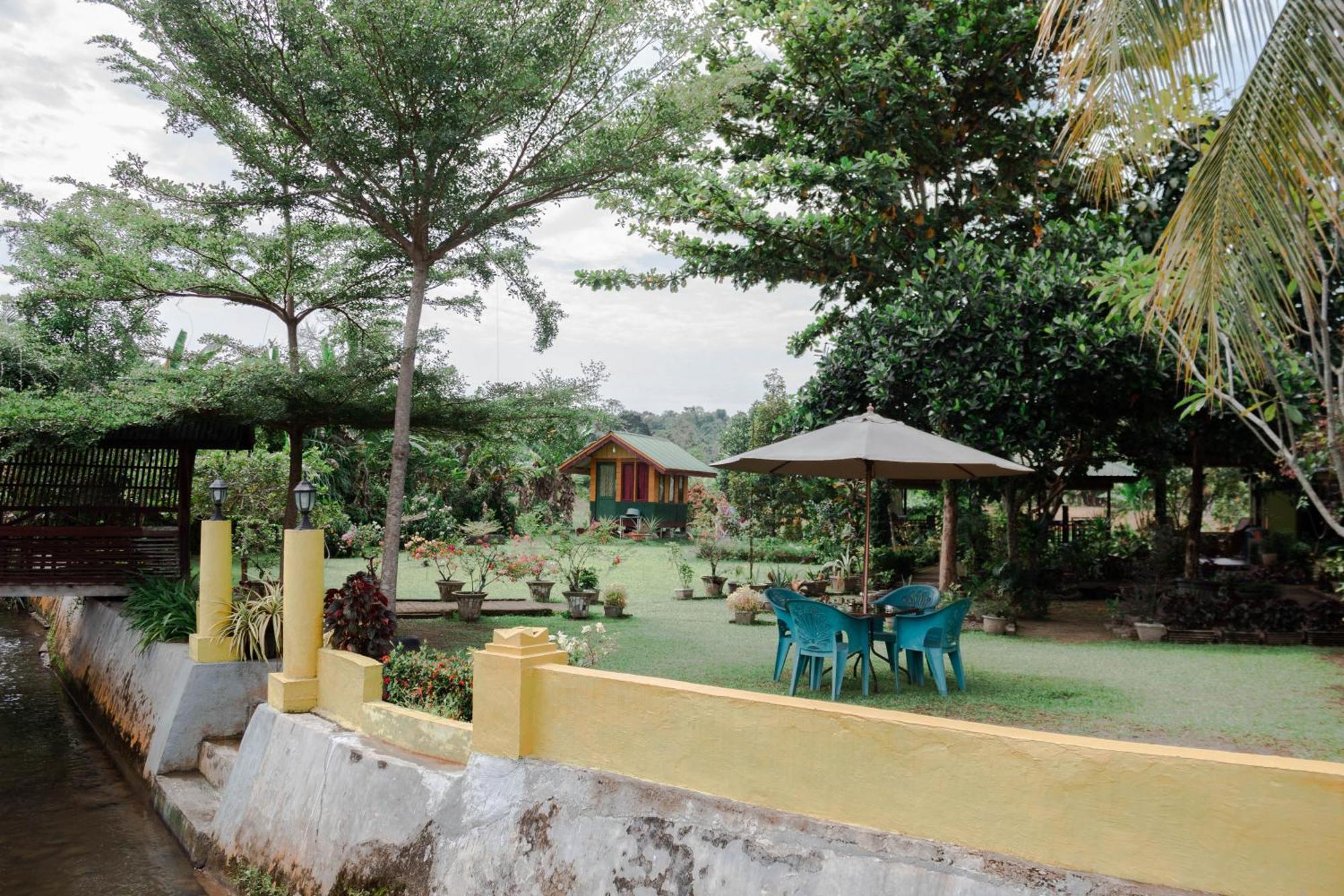 Ambow Homestay Jungle Trekking & Village Tour ブキットラワン エクステリア 写真