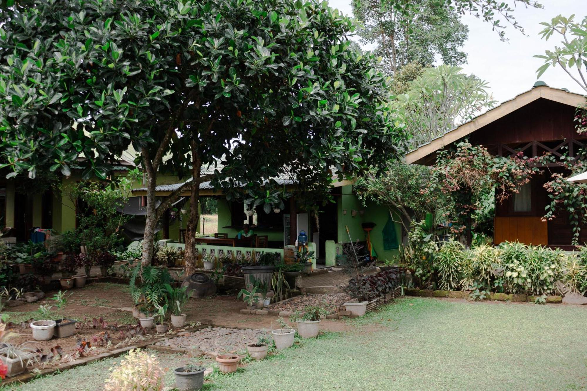 Ambow Homestay Jungle Trekking & Village Tour ブキットラワン エクステリア 写真