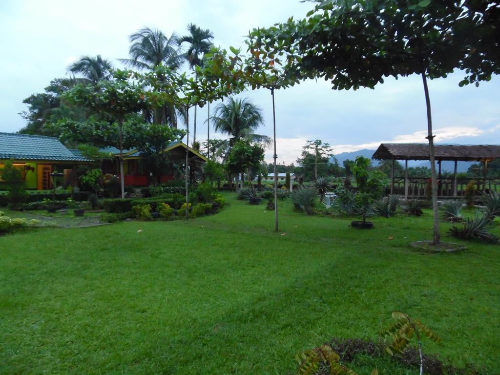 Ambow Homestay Jungle Trekking & Village Tour ブキットラワン エクステリア 写真