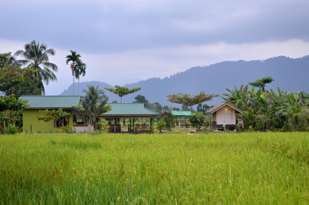 Ambow Homestay Jungle Trekking & Village Tour ブキットラワン エクステリア 写真