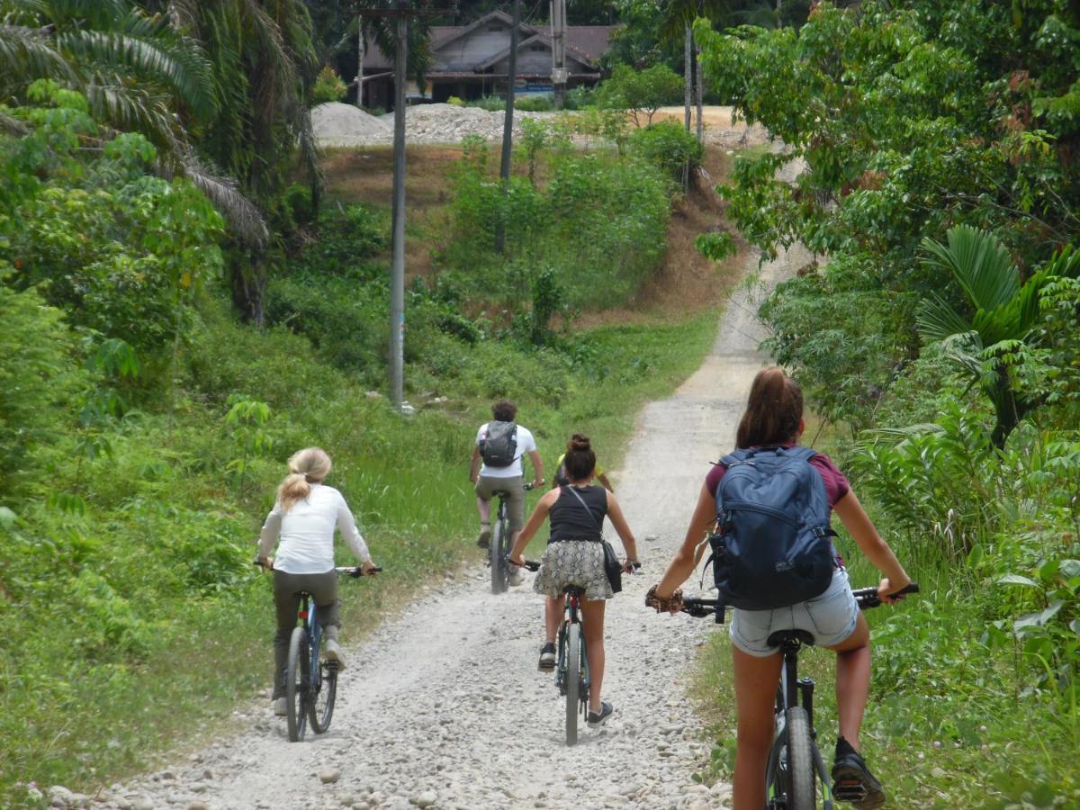 Ambow Homestay Jungle Trekking & Village Tour ブキットラワン エクステリア 写真