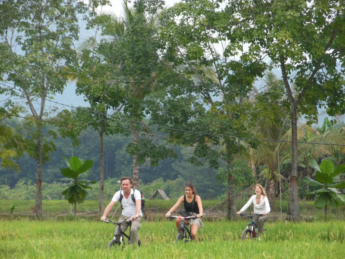 Ambow Homestay Jungle Trekking & Village Tour ブキットラワン エクステリア 写真