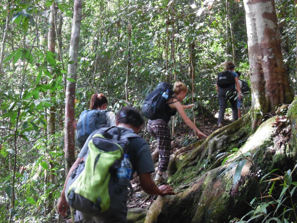 Ambow Homestay Jungle Trekking & Village Tour ブキットラワン エクステリア 写真