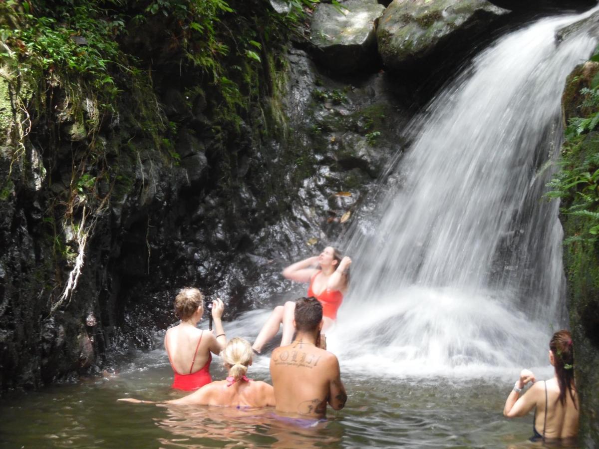 Ambow Homestay Jungle Trekking & Village Tour ブキットラワン エクステリア 写真