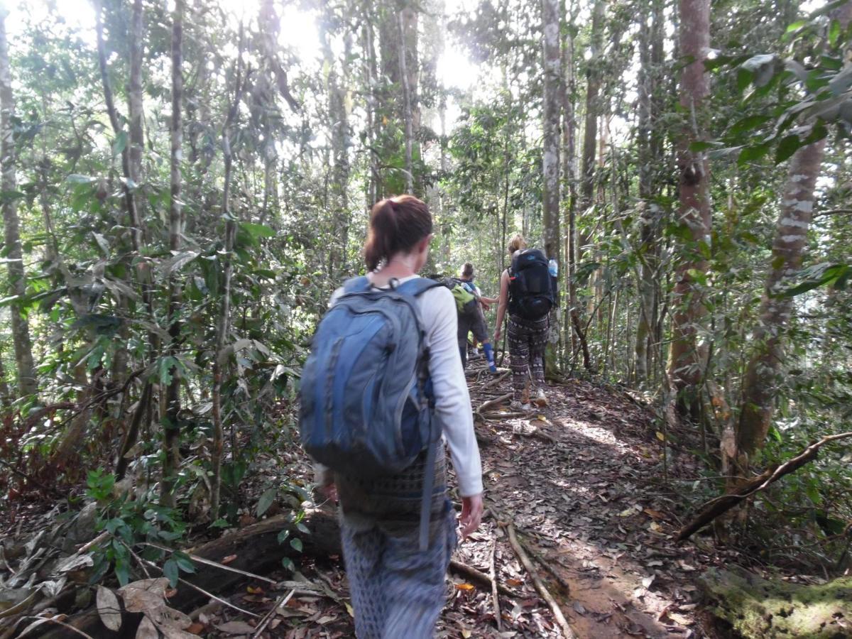 Ambow Homestay Jungle Trekking & Village Tour ブキットラワン エクステリア 写真