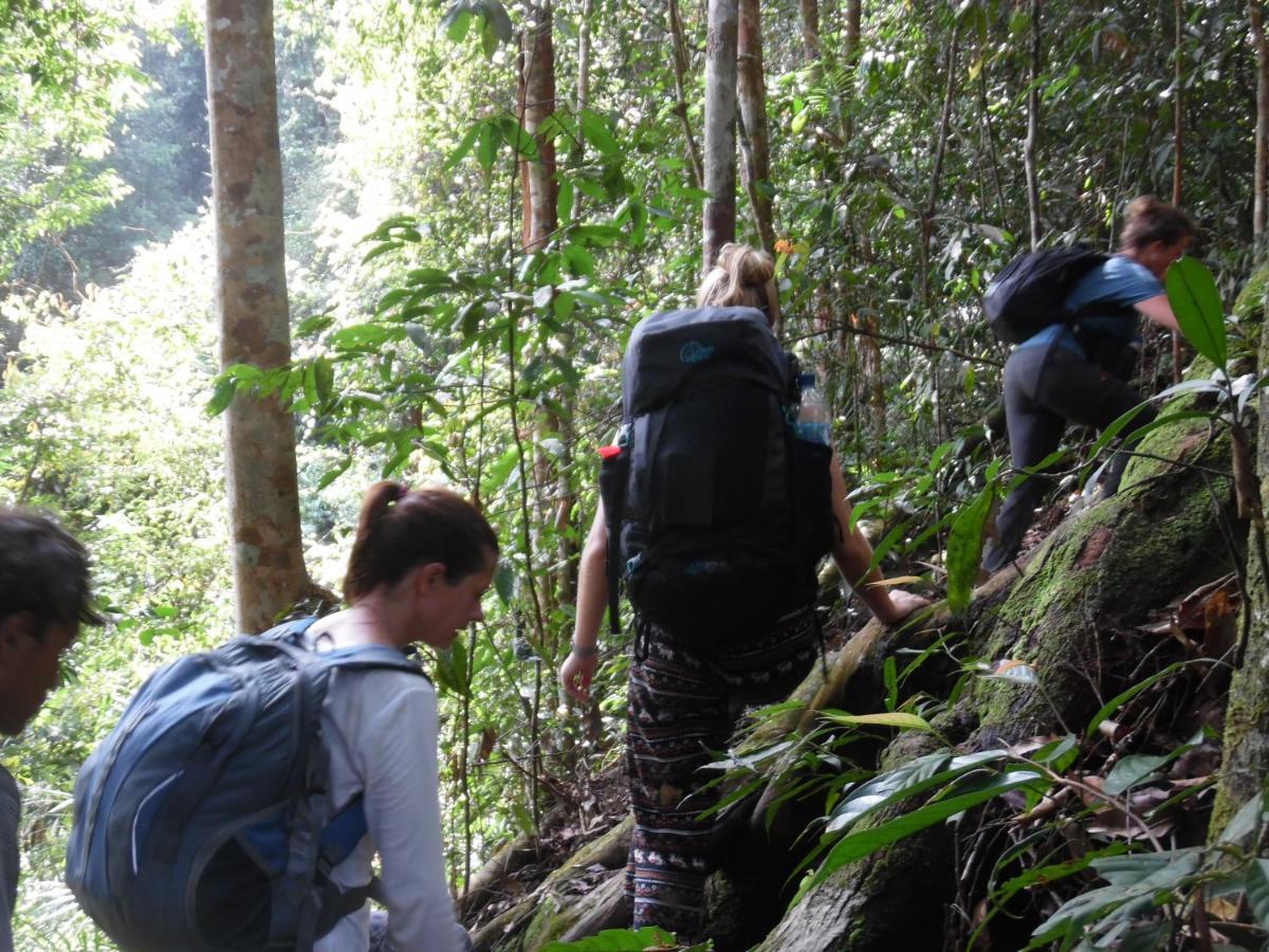 Ambow Homestay Jungle Trekking & Village Tour ブキットラワン エクステリア 写真