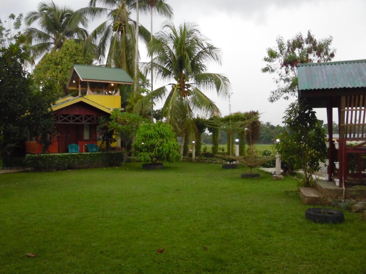 Ambow Homestay Jungle Trekking & Village Tour ブキットラワン エクステリア 写真